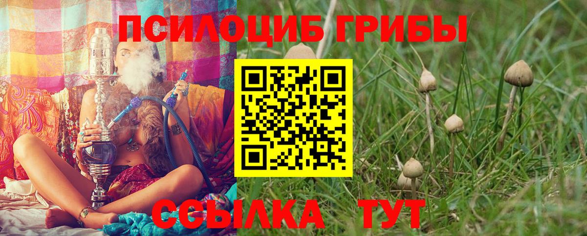 Кокаин  Курчалой  Мефедрон   Вход с VPN  ГАШИШ  Конопля  APVP СК   Экстази 