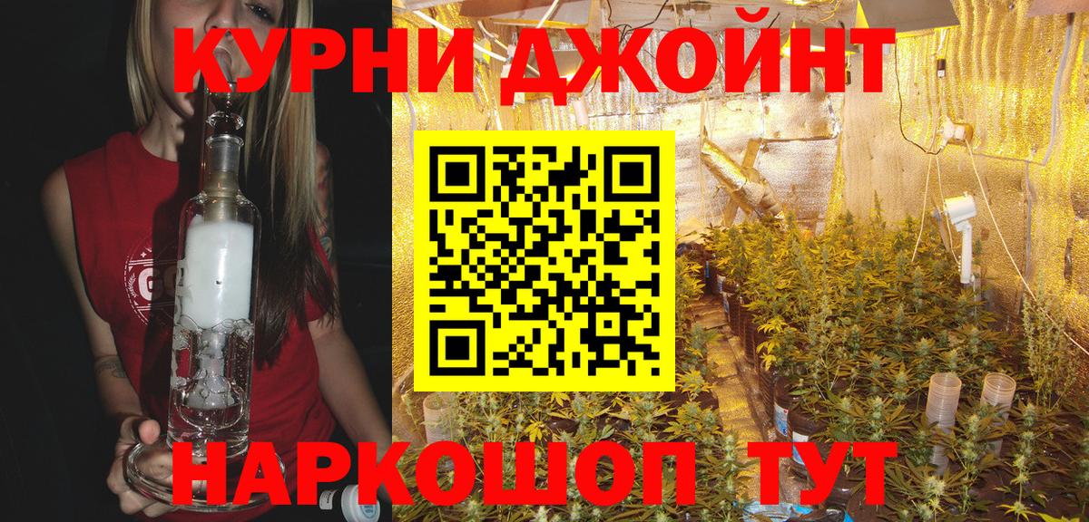 Бошки марихуана White Widow Курчалой